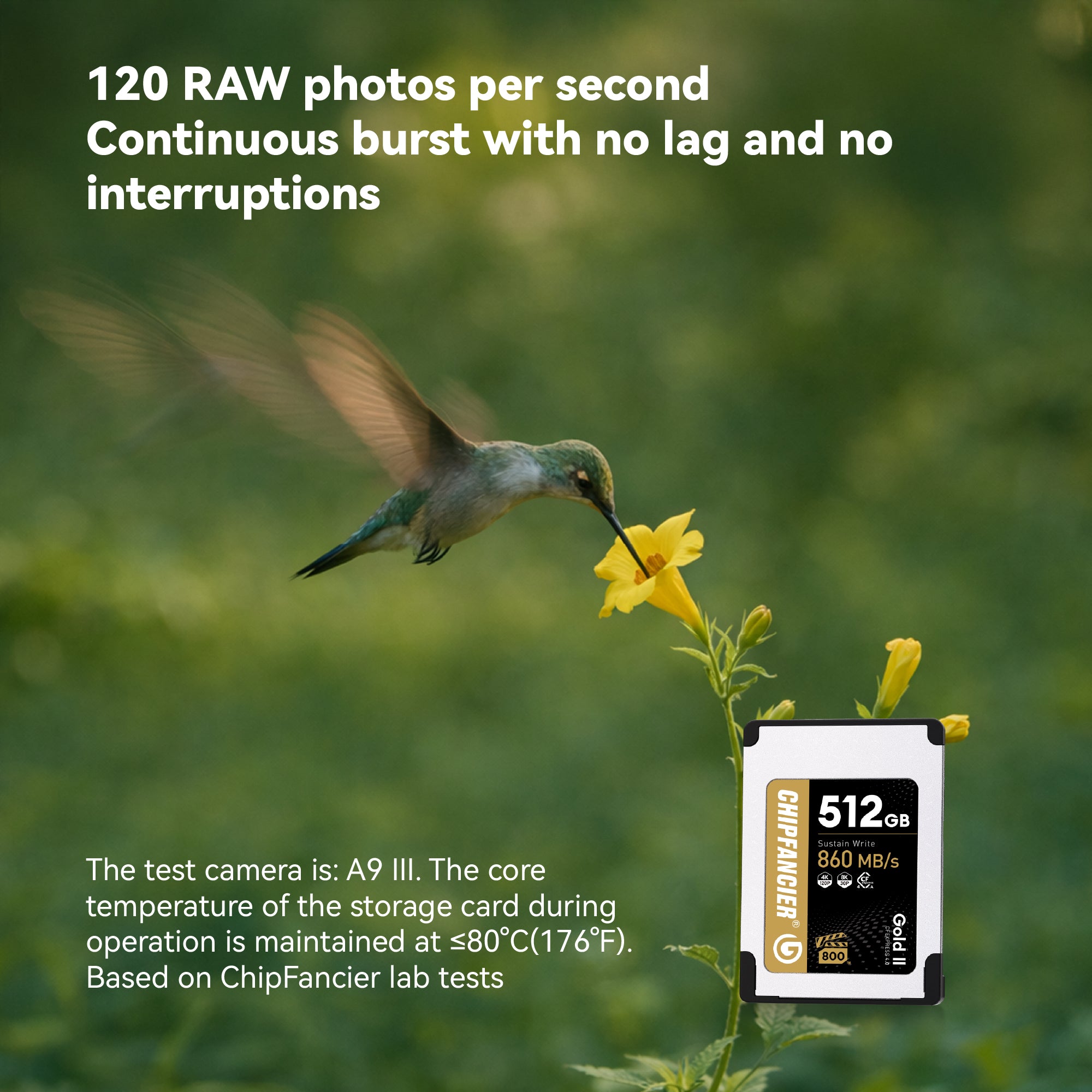 CHIPFANCIER CFexpress Type A 4.0 Gold Gen II Memory Card VPG800 Certified