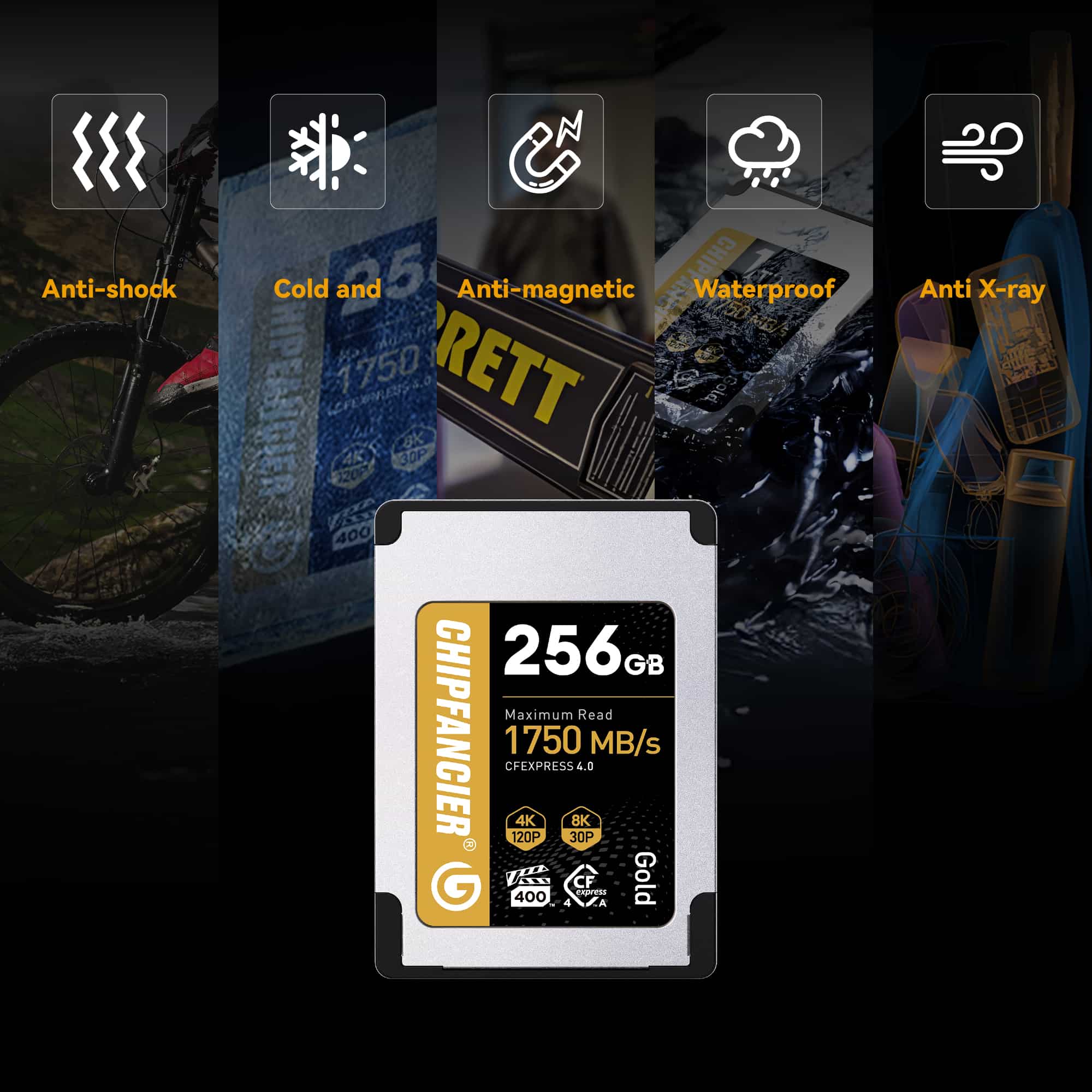 Delkin Devices Nikon Z6 Ii Memory Card Compatibility Nikon Z II